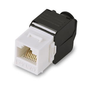 SAXXON M242C6 - Modulo jack keystone RJ45 / Armado sin herramienta / 8 Hilos / CAT 6 / Compatible con calibres  AWG 22-26 / Color blanco