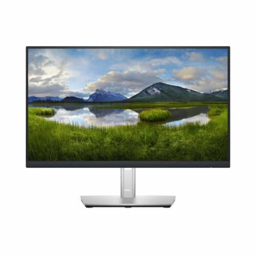 Monitor  - Monitor  DELL P2222H - 21.5 pulgadas, 1920 x 1080 Pixeles